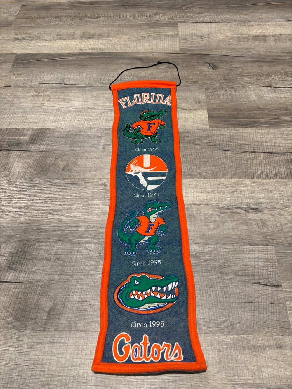 Vintage Florida Gators Hanging Banner - Orange and Green